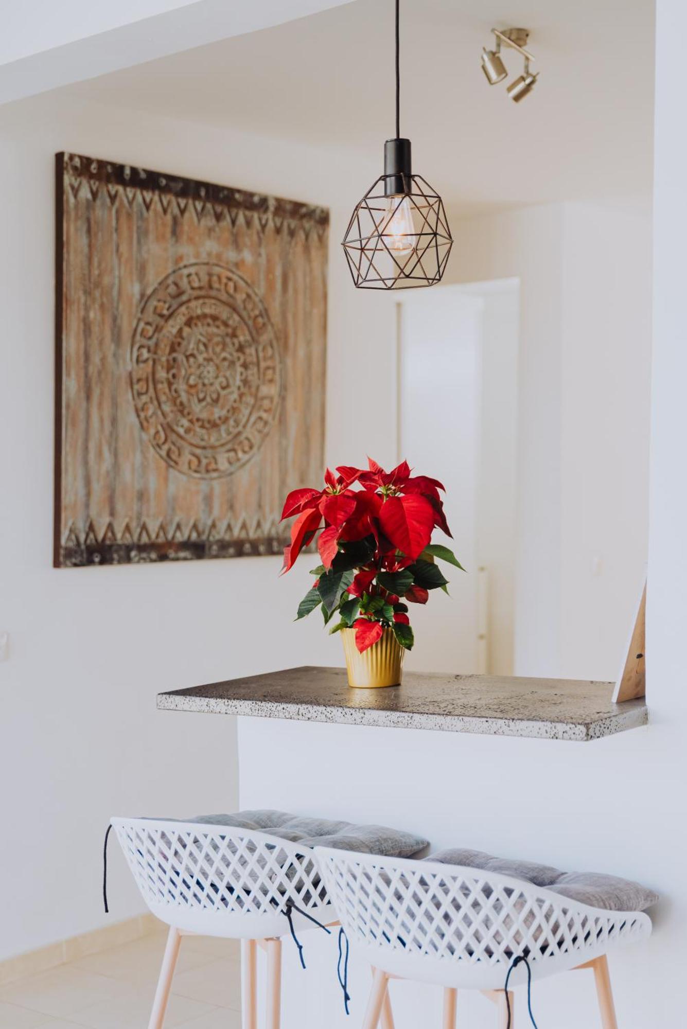 Villa Lanzarote Deluxe & Spa Pool Πλάγια Μπλάνκα Εξωτερικό φωτογραφία